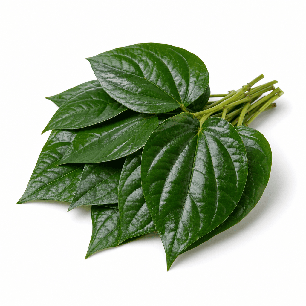 Lá lốt