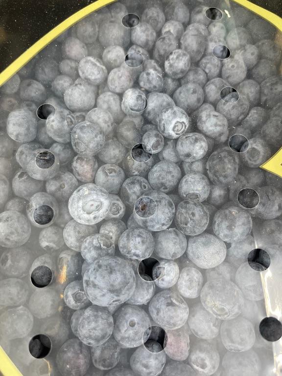 Quả việt quất 1kg
